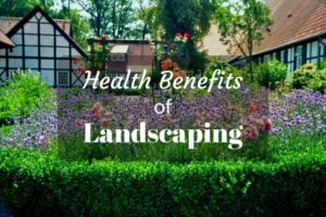 health-benefits-of-landscaping